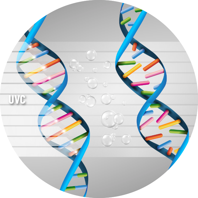 UVC zerstört die DNA von Viren und Bakterien