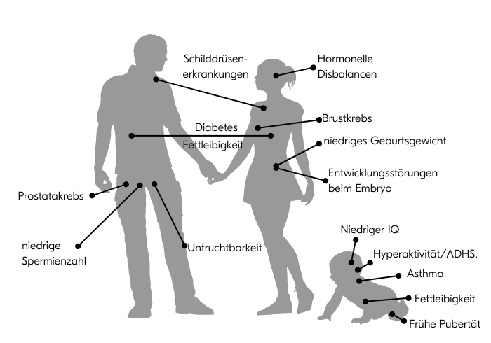 Weichmacher_und_moegliche_gesundheitliche_Folgen